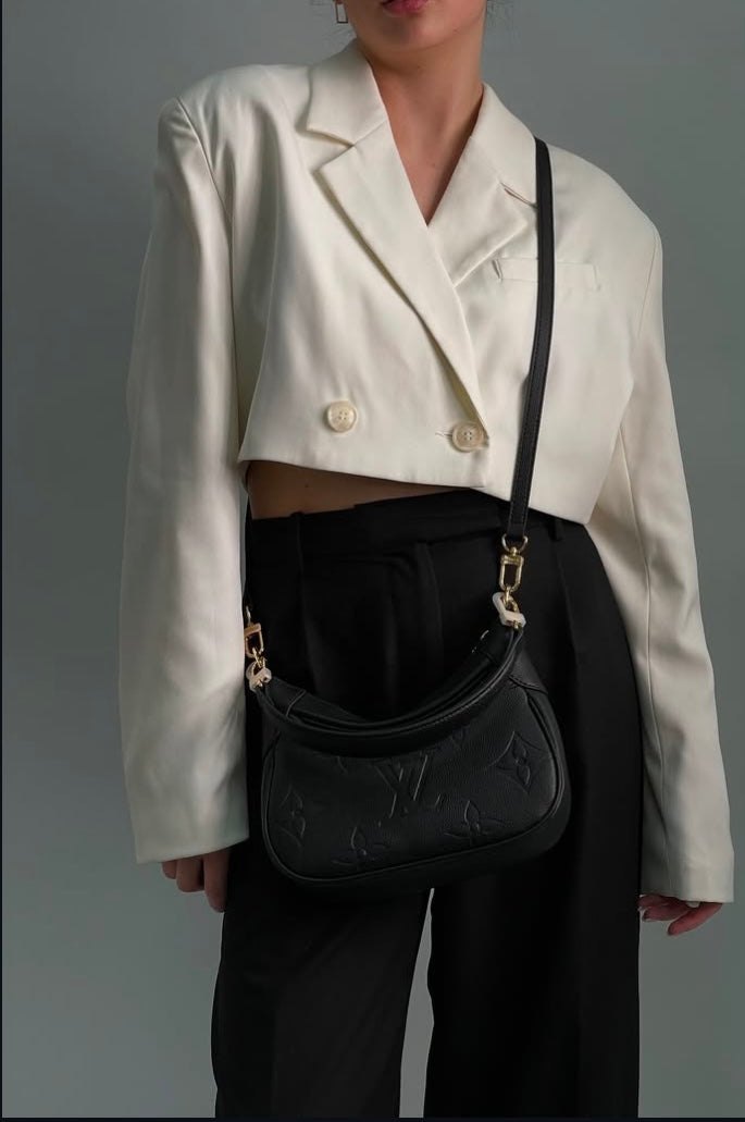 LV BAG