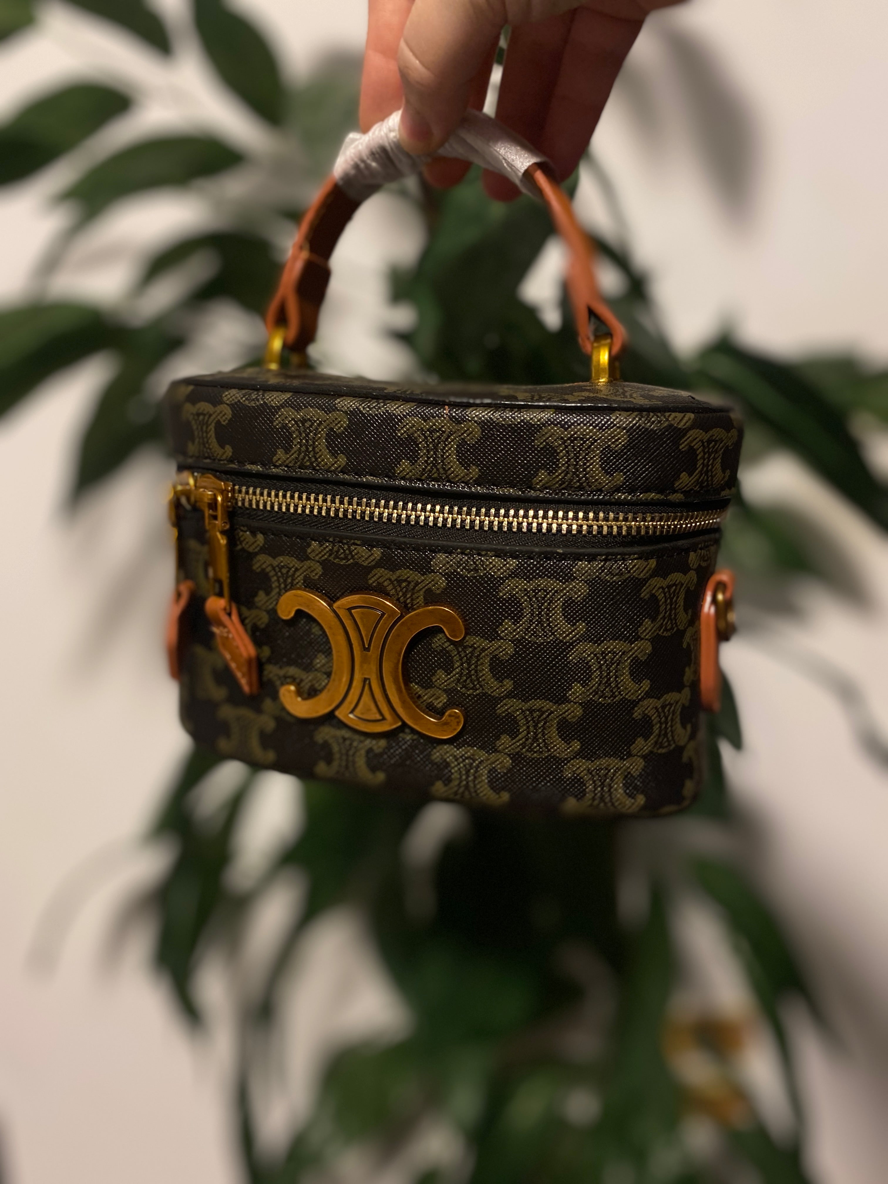 Celine Vanity Bag