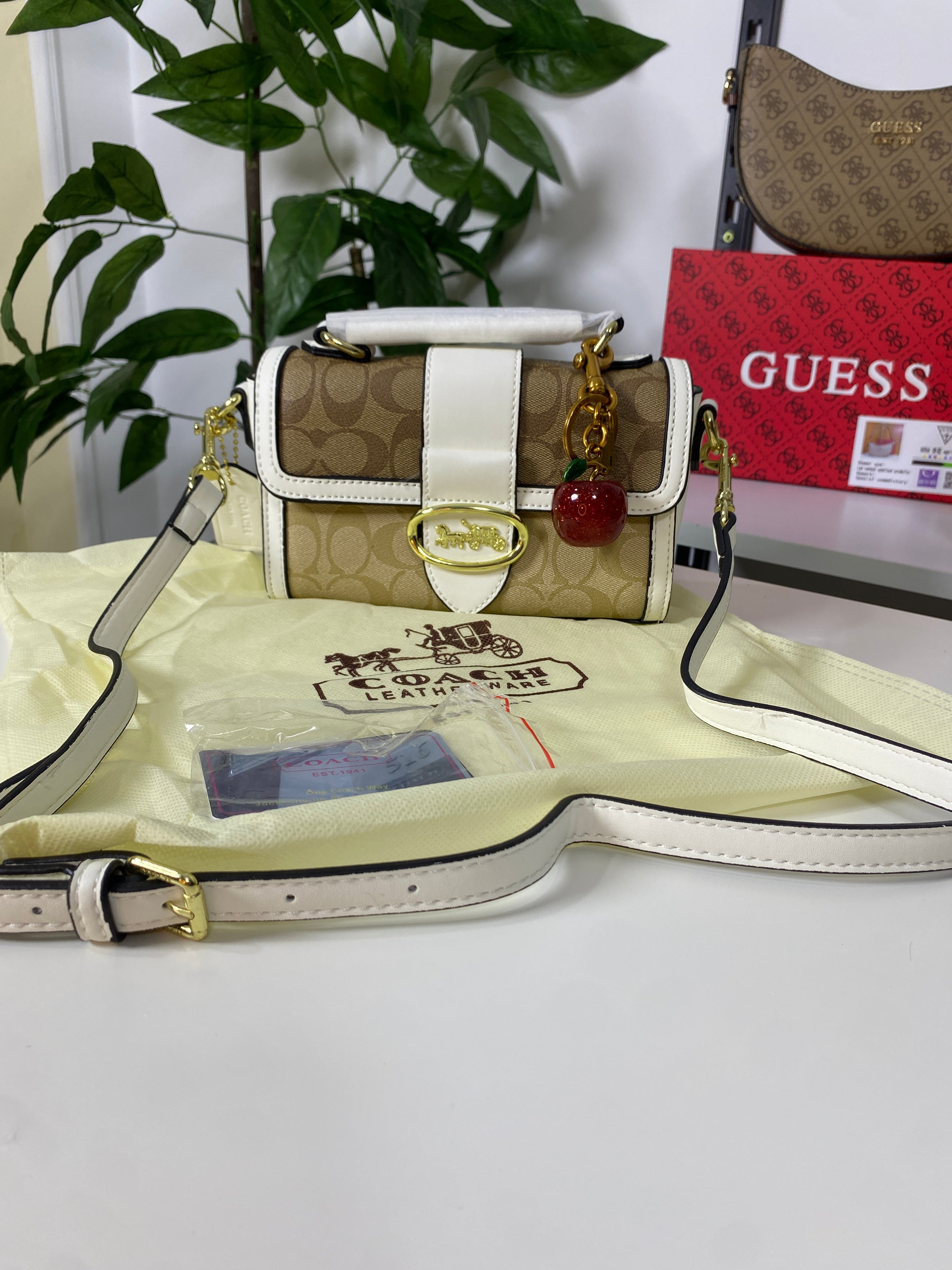 COACH BAG