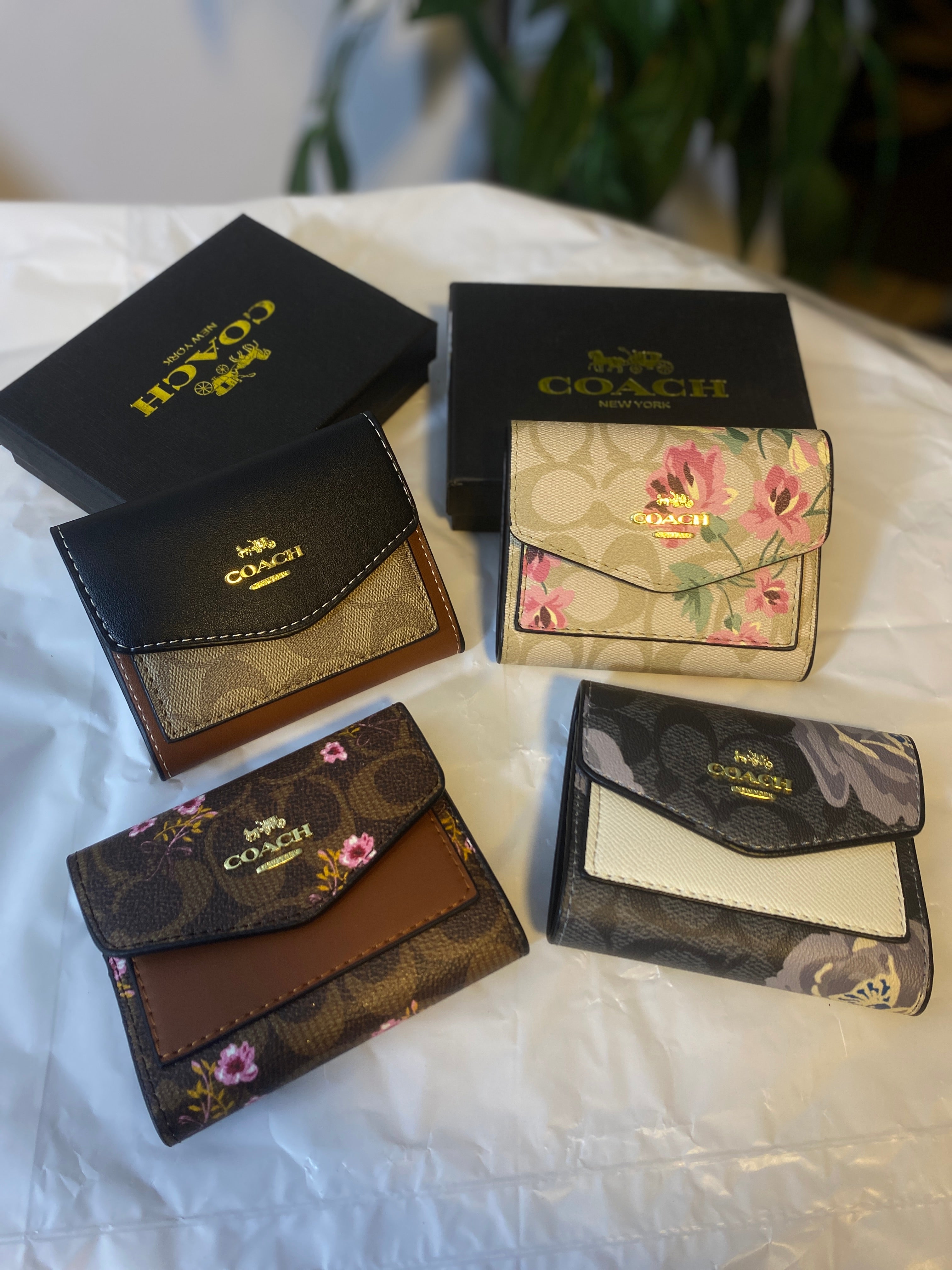 Coach Small Wallet