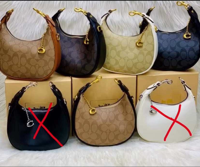 Coach Mini Luna Bag
