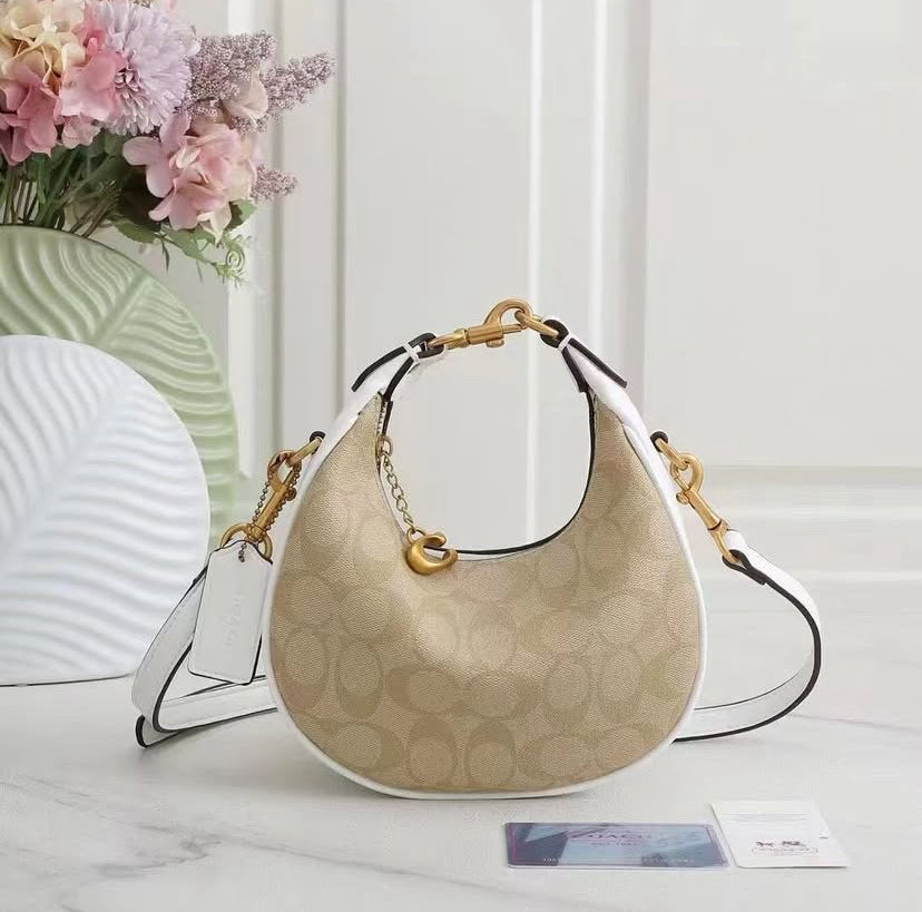 Coach Mini Luna Bag