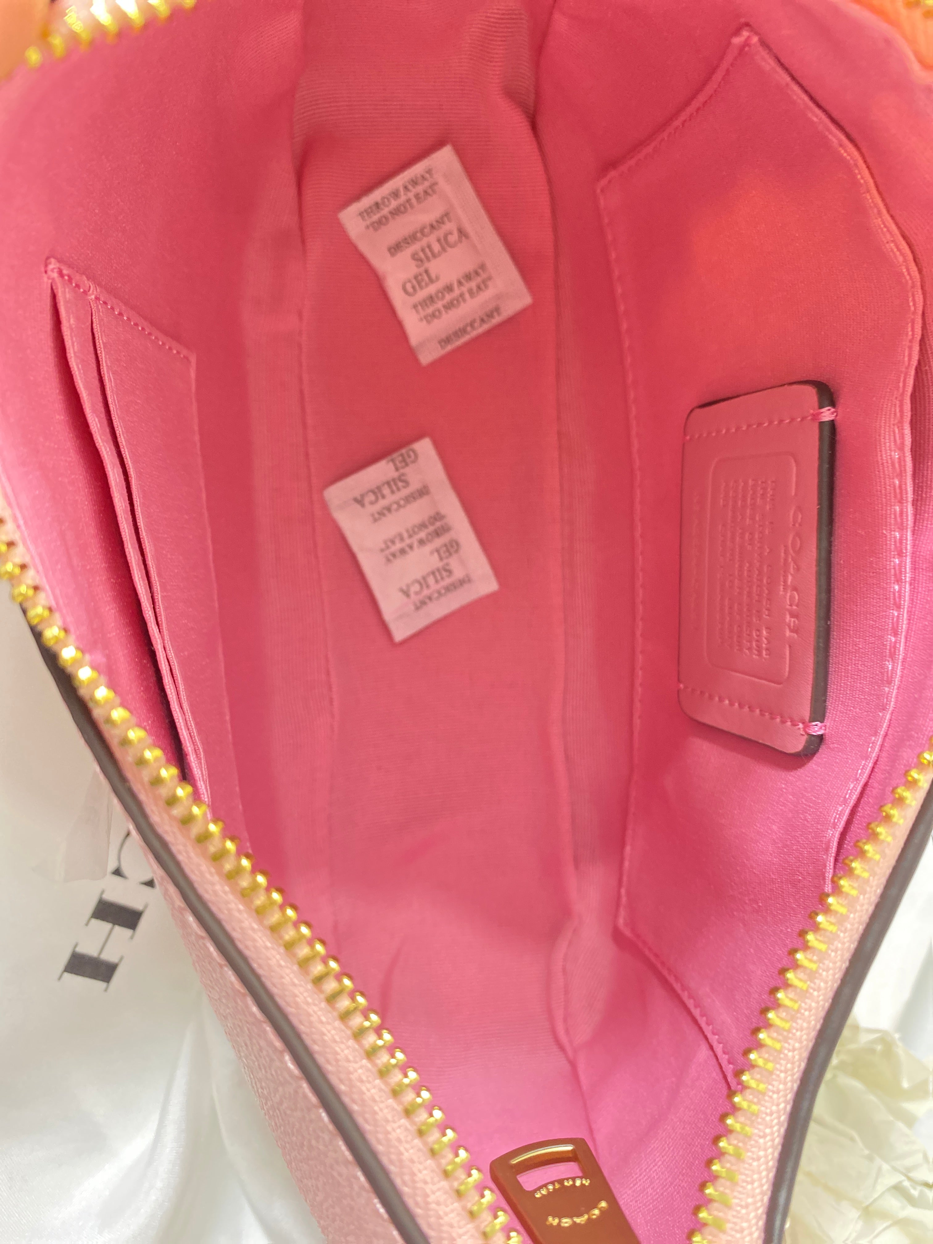 Coach Swinger Bag