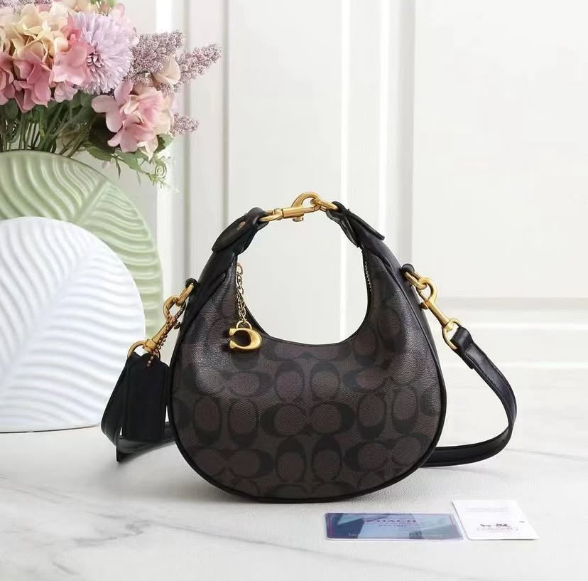 Coach Mini Luna Bag