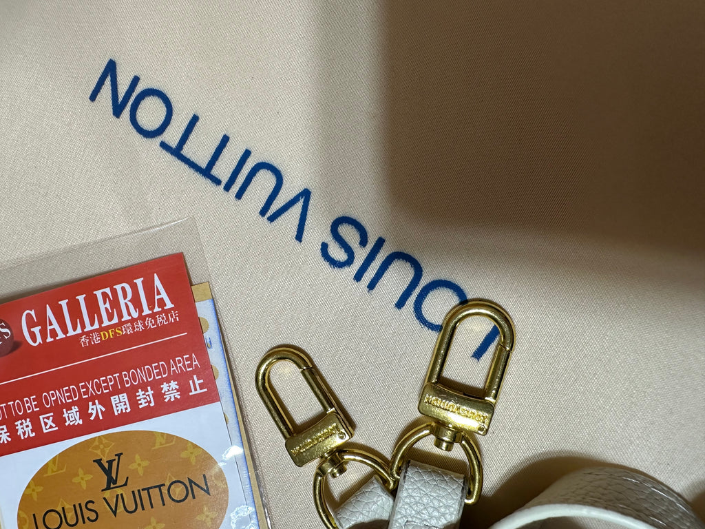 LV BAG