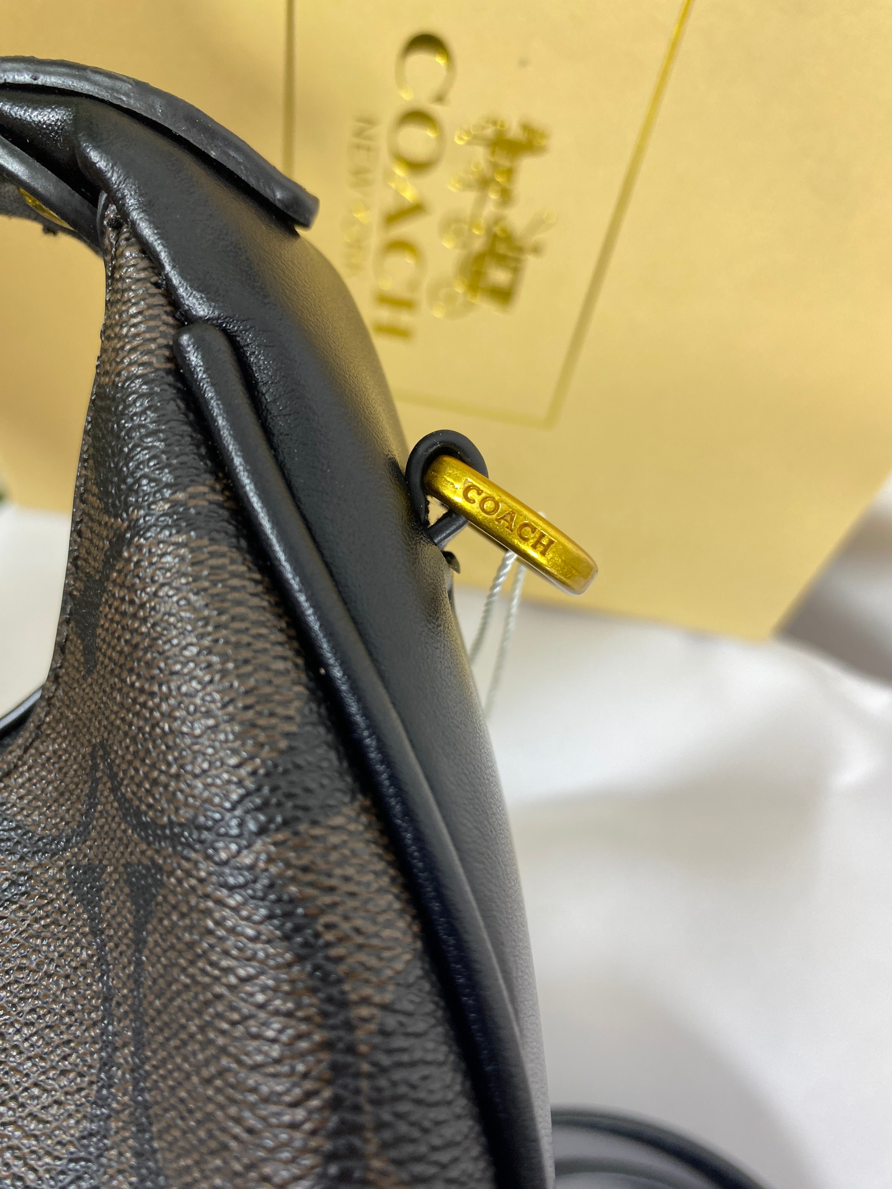 Coach Mini Luna Bag