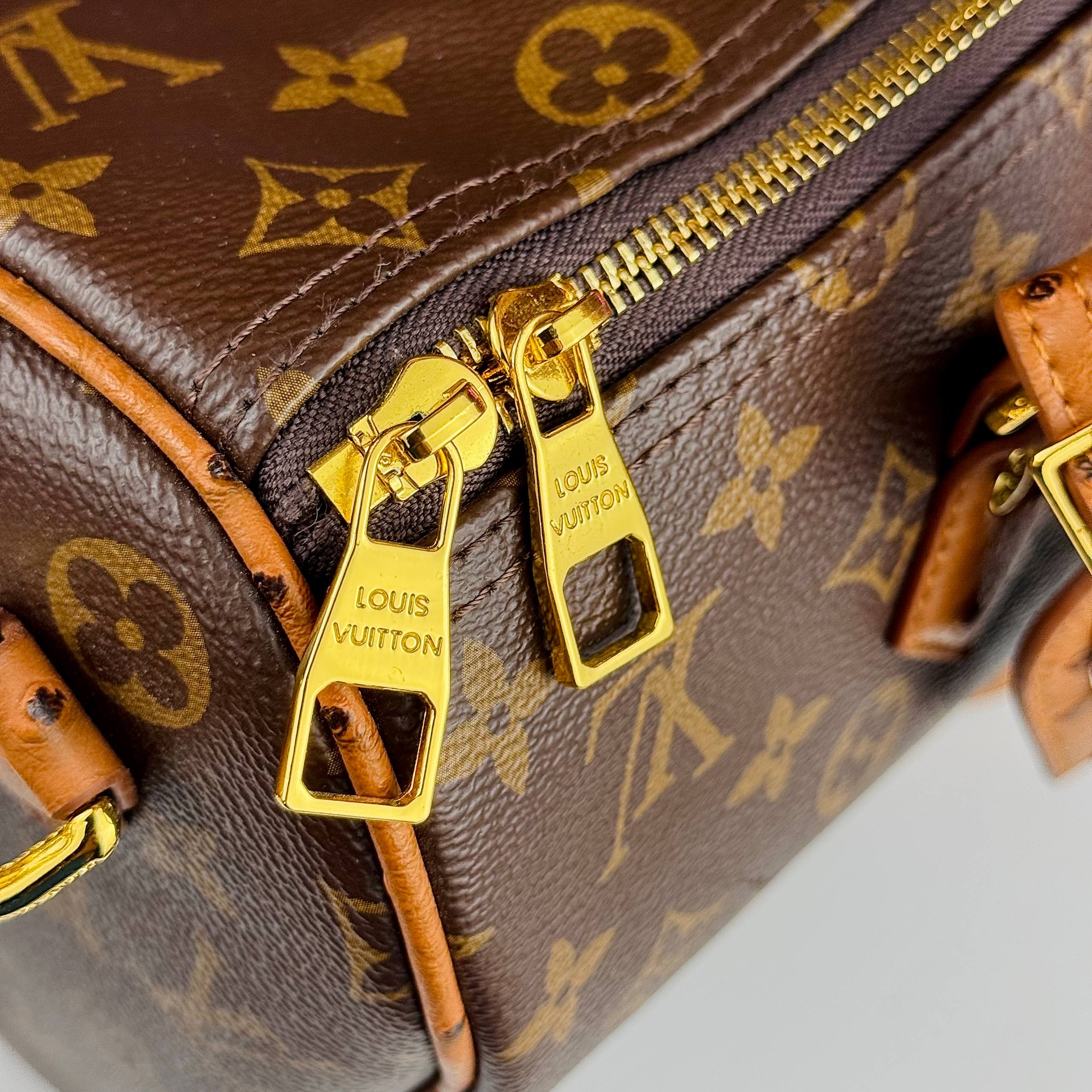 Louis Vuitton Speedy Bandoulière 30