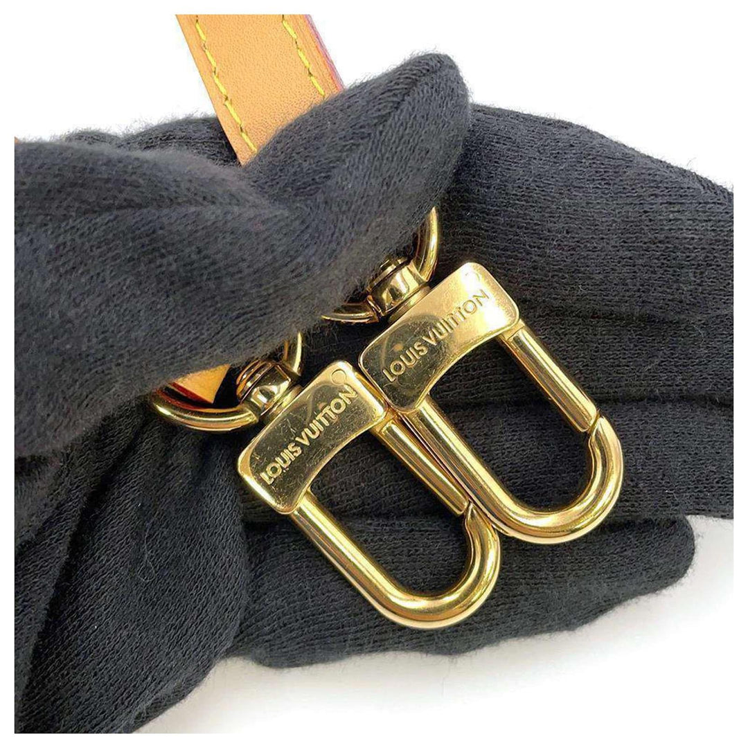 LV BAG