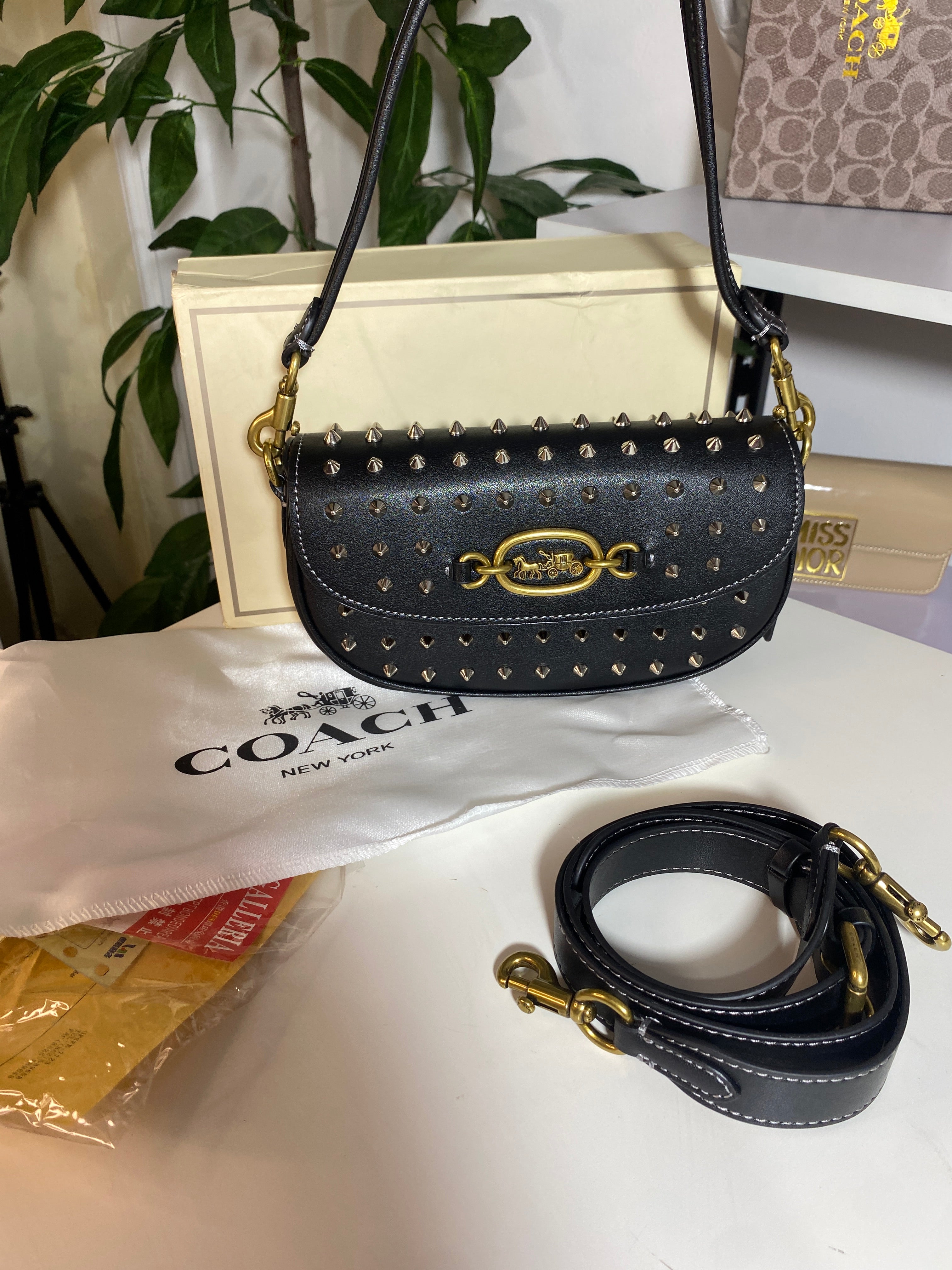 COACH BAG